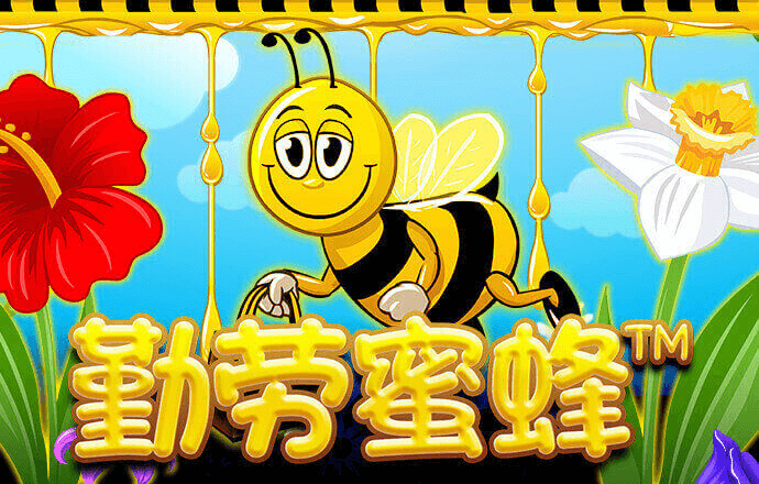 星空无限传媒官网星媒体网站